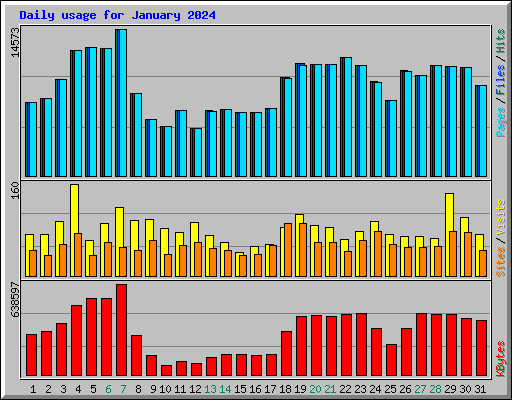 Daily usage for January 2024