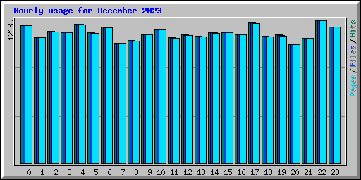 Hourly usage for December 2023