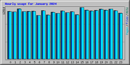 Hourly usage for January 2024