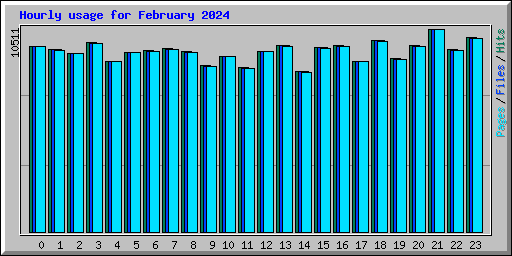 Hourly usage for February 2024