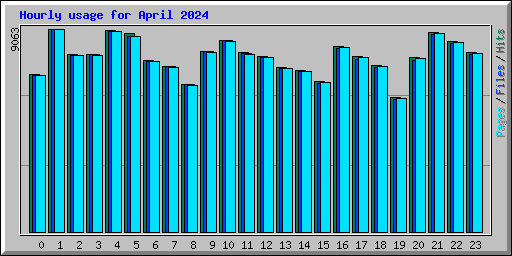 Hourly usage for April 2024