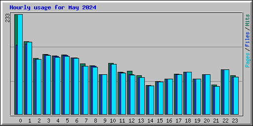 Hourly usage for May 2024